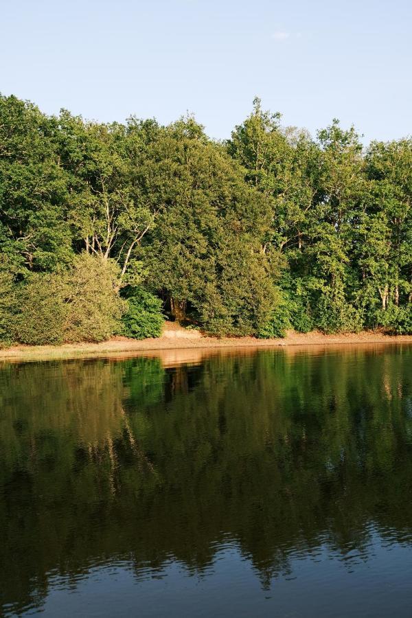 Lodge Avec Spa Privatif - Foret Et Lac Liginiac ภายนอก รูปภาพ