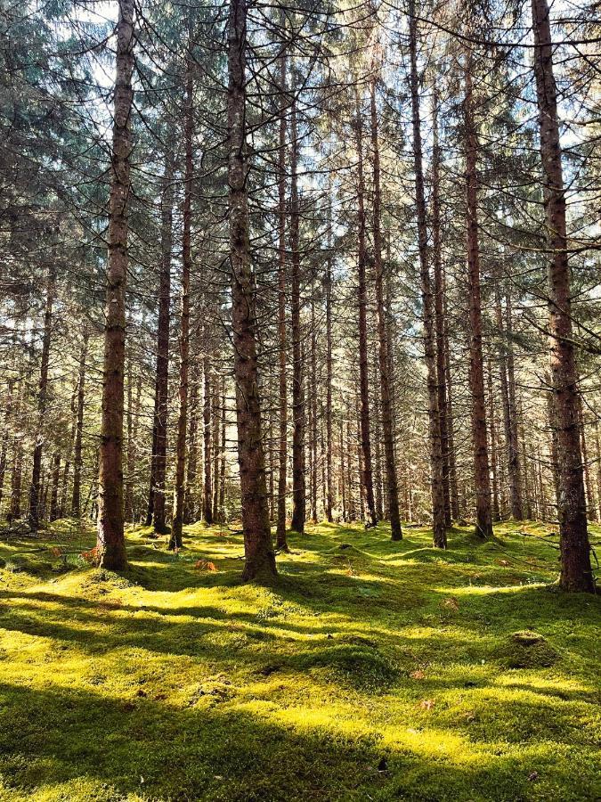 Lodge Avec Spa Privatif - Foret Et Lac Liginiac ภายนอก รูปภาพ