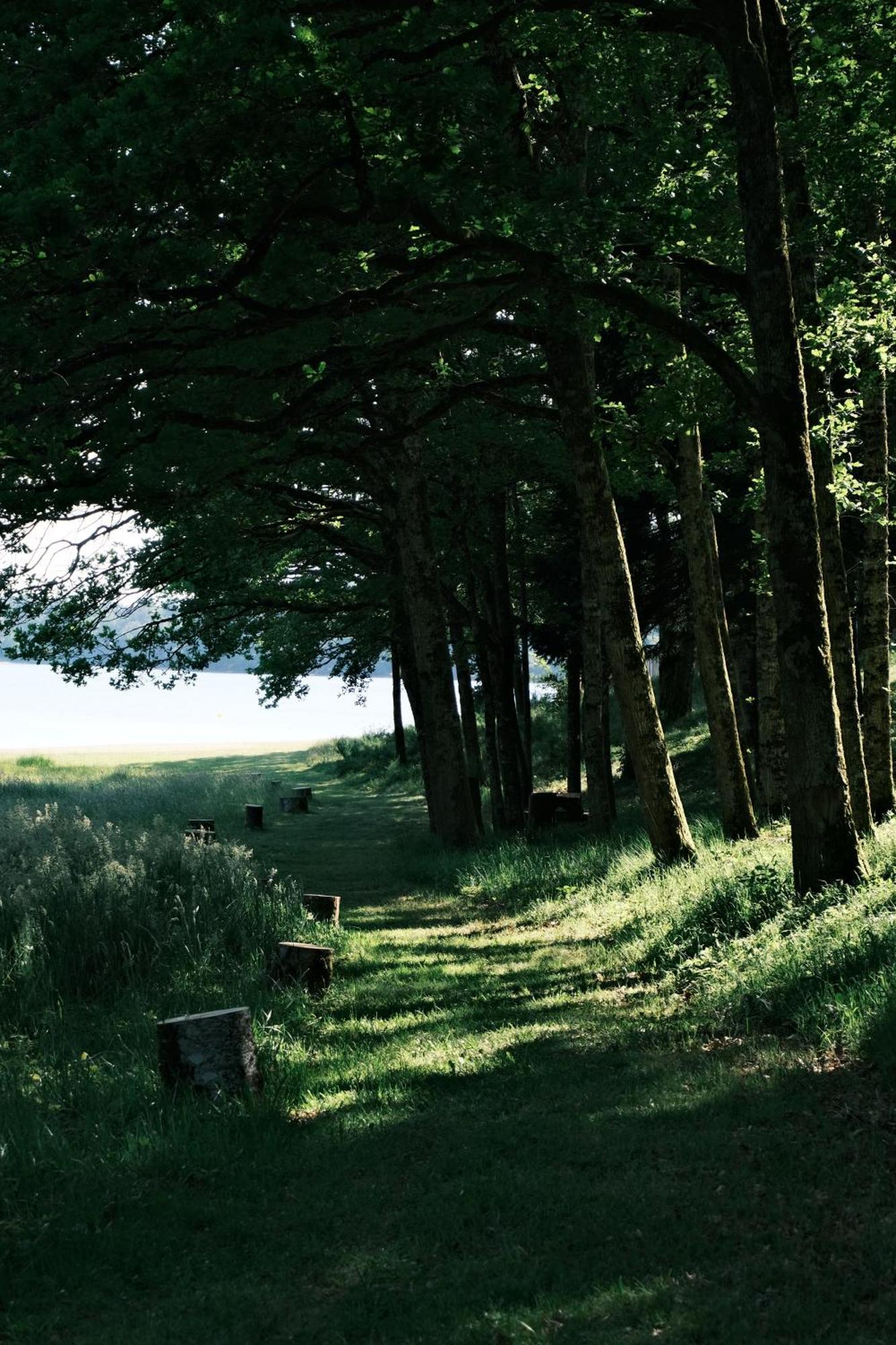 Lodge Avec Spa Privatif - Foret Et Lac Liginiac ภายนอก รูปภาพ